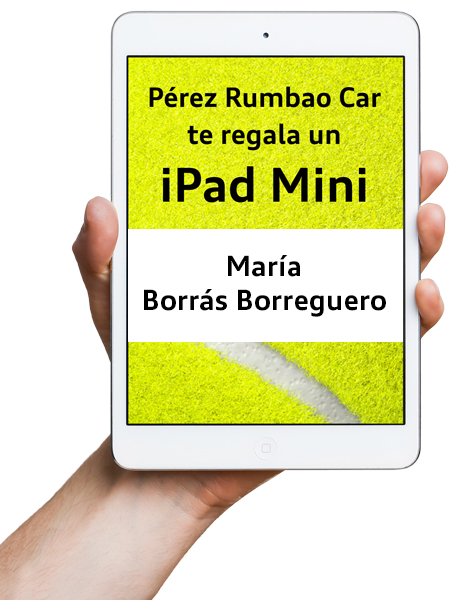ipad mini